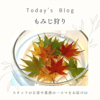 画像292