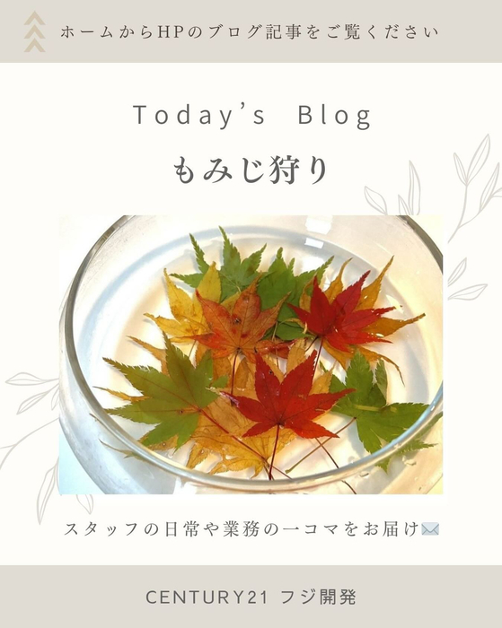 画像292
