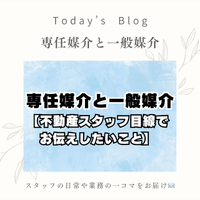 画像294