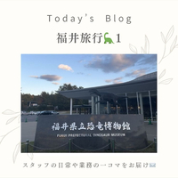 画像306