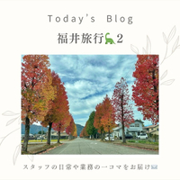 画像308