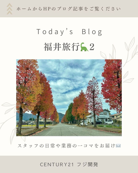 画像308