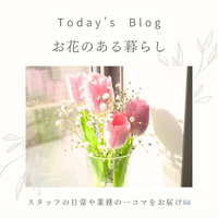 画像348