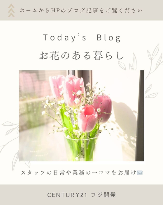 画像348