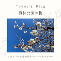 画像380