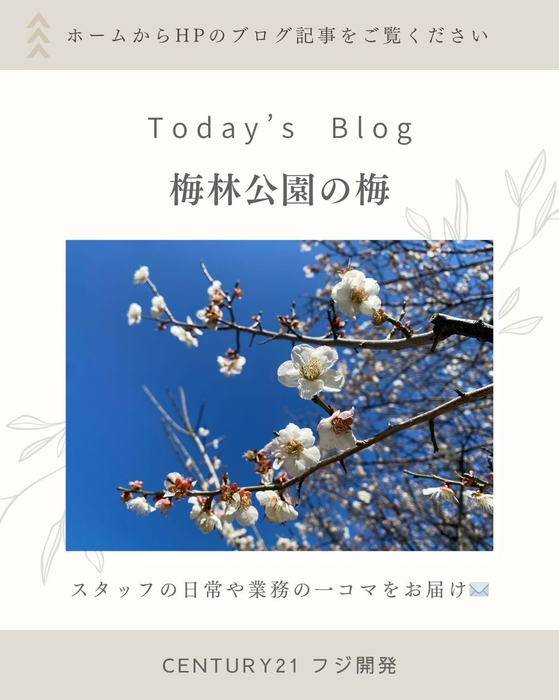 画像380