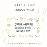 画像408