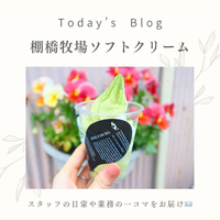 画像420