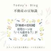 画像446
