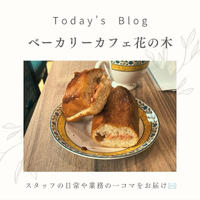 画像462